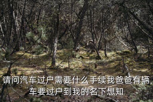 請問汽車過戶需要什么手續我爸爸有輛車要過戶到我的名下想知