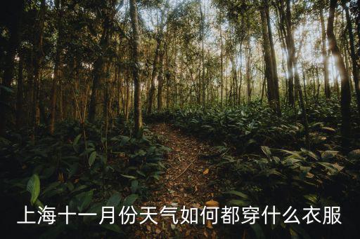 上海十一月份天氣如何都穿什么衣服
