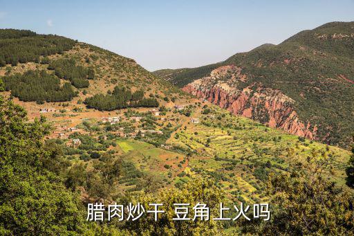  臘肉炒干 豆角上火嗎