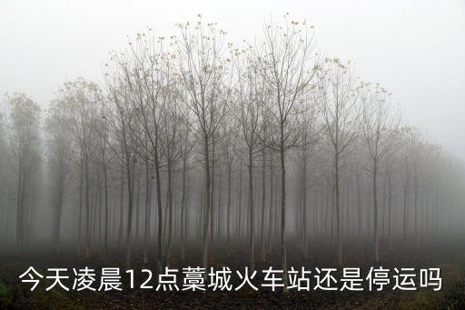 今天凌晨12點藁城火車站還是停運嗎