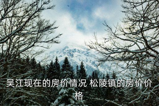 吳江現在的房價情況 松陵鎮的房價價格