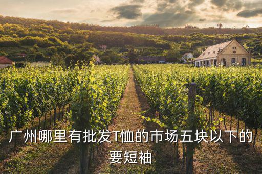 廣州哪里有批發T恤的市場五塊以下的要短袖