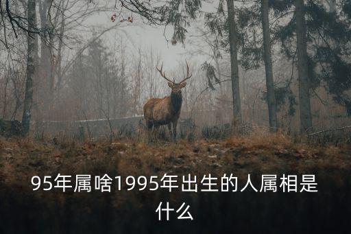 95年屬啥1995年出生的人屬相是什么