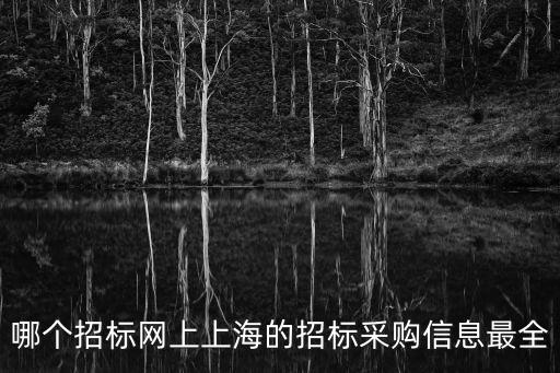 哪個(gè)招標(biāo)網(wǎng)上上海的招標(biāo)采購(gòu)信息最全