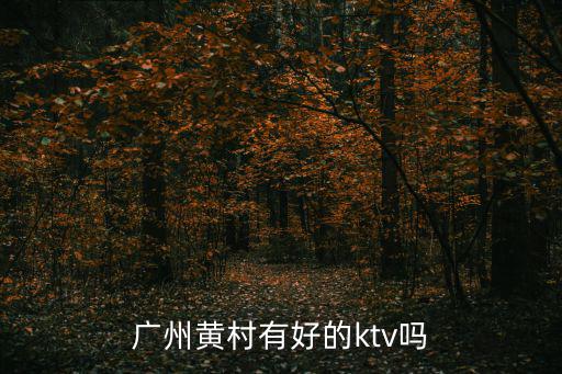 廣州黃村有好的ktv嗎