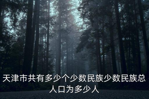 天津市共有多少個(gè)少數(shù)民族少數(shù)民族總?cè)丝跒槎嗌偃? class=