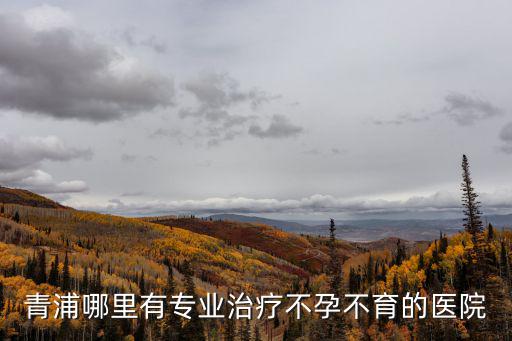 青浦哪里有專業治療不孕不育的醫院