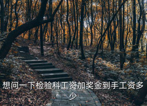 想問一下檢驗科工資加獎金到手工資多少