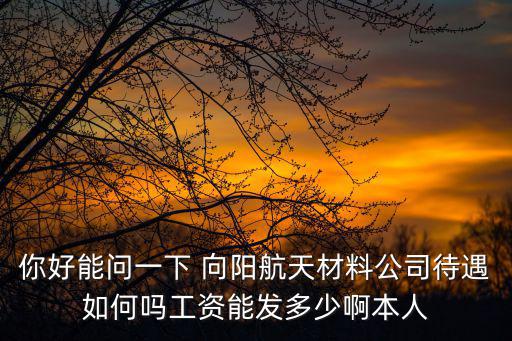 你好能問(wèn)一下 向陽(yáng)航天材料公司待遇如何嗎工資能發(fā)多少啊本人