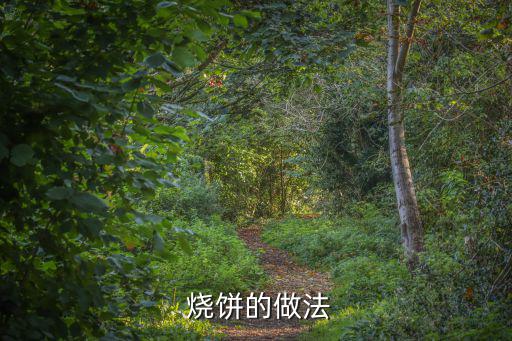 做燒餅,面團和燒餅的制作方法