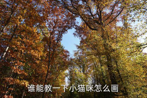 誰能教一下小貓咪怎么畫