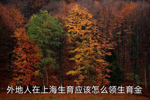 外地人在上海生育應該怎么領生育金