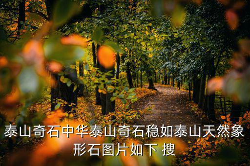 泰山奇石中華泰山奇石穩(wěn)如泰山天然象形石圖片如下 搜