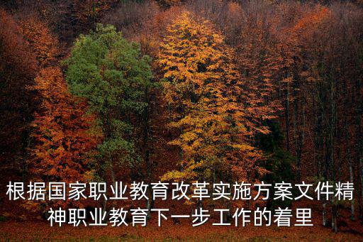 根據國家職業教育改革實施方案文件精神職業教育下一步工作的著里
