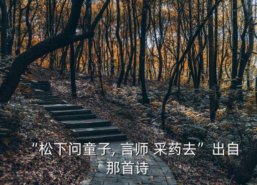 言師采藥去,唐代詩人賈島松下問學生:師傅已走了