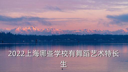 2022上海哪些學(xué)校有舞蹈藝術(shù)特長(zhǎng)生
