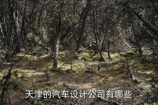 天津的汽車設(shè)計公司有哪些