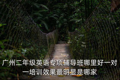 廣州二年級英語專項輔導班哪里好一對一培訓效果最明顯是哪家