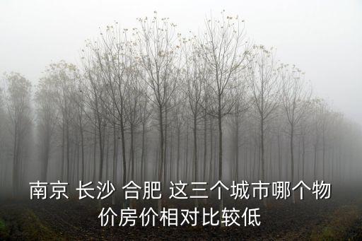 南京 長(zhǎng)沙 合肥 這三個(gè)城市哪個(gè)物價(jià)房?jī)r(jià)相對(duì)比較低