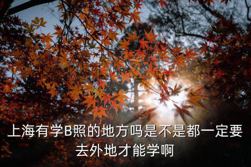 上海有學B照的地方嗎是不是都一定要去外地才能學啊