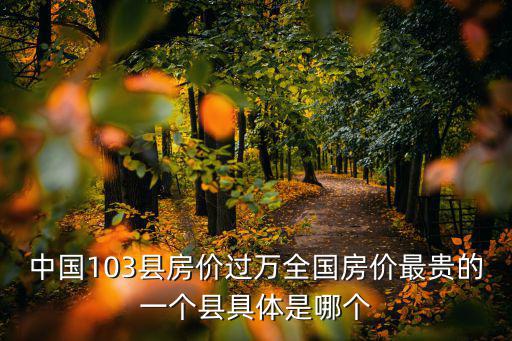 中國哪個村房價最貴，中國103縣房價過萬全國房價最貴的一個縣具體是哪個