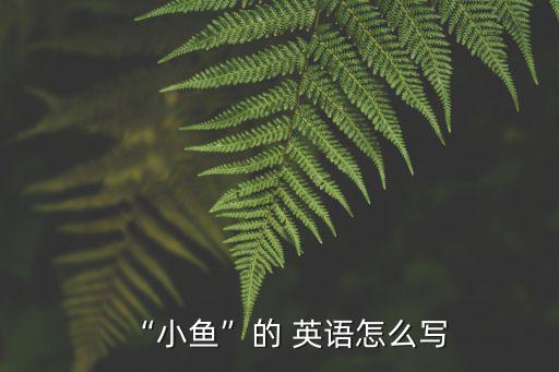 “小魚”的 英語怎么寫