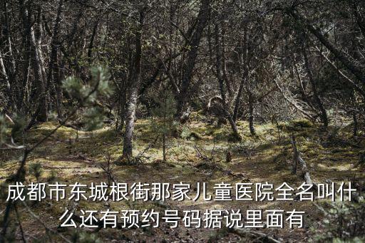 成都市東城根街那家兒童醫院全名叫什么還有預約號碼據說里面有