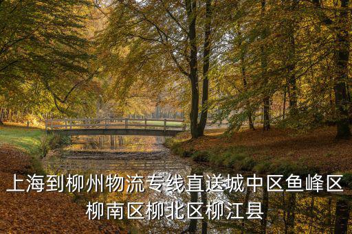 上海到柳州物流專線直送城中區(qū)魚峰區(qū)柳南區(qū)柳北區(qū)柳江縣