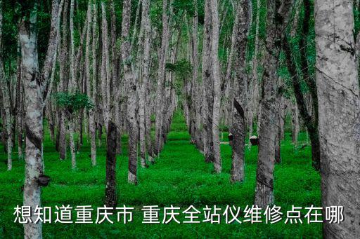 重慶市亞特房車維護點，在重慶哪里有Gateway的維修點