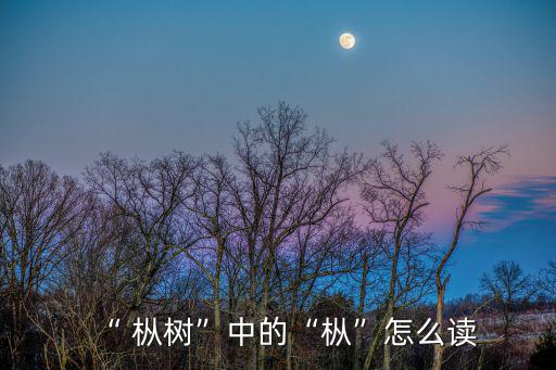 “ 樅樹”中的“樅”怎么讀