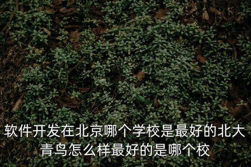 軟件開發在北京哪個學校是最好的北大青鳥怎么樣最好的是哪個校