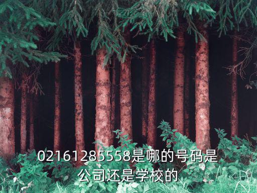 02161285558是哪的號(hào)碼是公司還是學(xué)校的