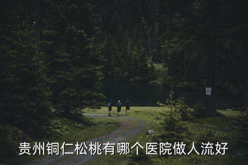 貴州銅仁松桃有哪個醫院做人流好