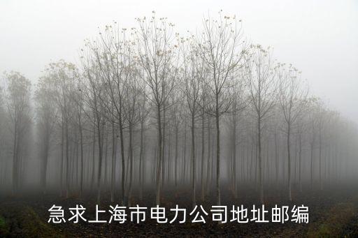 急求上海市電力公司地址郵編