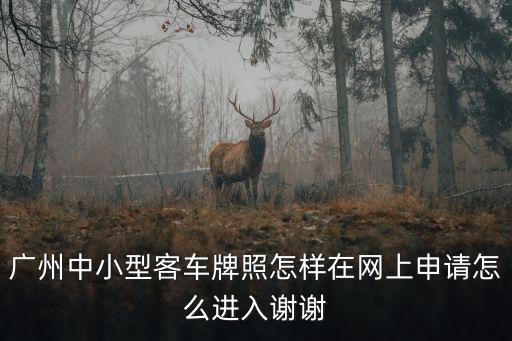 廣州中小客車指標系統(tǒng)官網，廣州市車輛競拍在哪個網站登記