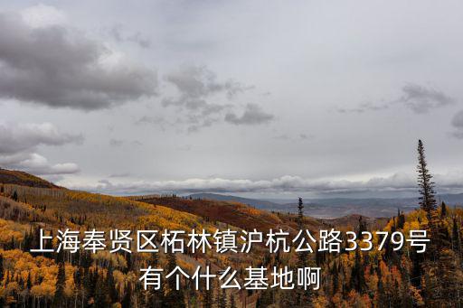 上海市柘林鎮門店鋪，柘林鎮上有什么服飾店嗎