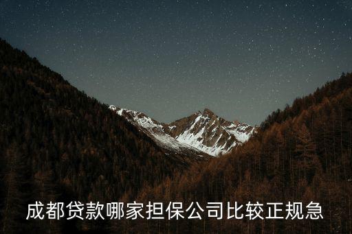 成都貸款哪家擔(dān)保公司比較正規(guī)急