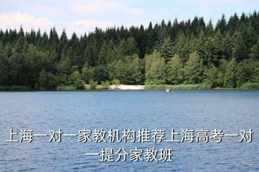 上海一對一家教機構推薦上海高考一對一提分家教班