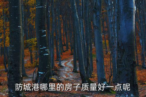 防城港哪里的房子質量好一點呢