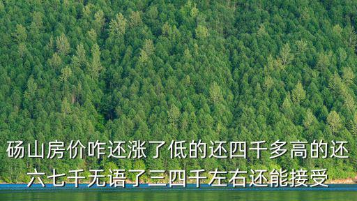 碭山房價咋還漲了低的還四千多高的還六七千無語了三四千左右還能接受