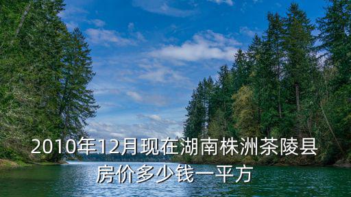 2010年12月現在湖南株洲茶陵縣房價多少錢一平方