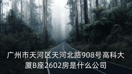 廣州市天河區天河北路908號高科大廈B座2602房是什么公司