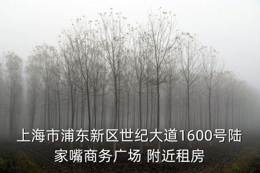 上海市浦東新區(qū)新場鎮(zhèn)租房信息，上海浦東新區(qū)租房 推薦下
