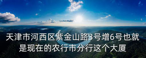 天津市河西區(qū)紫金山路3號(hào)增6號(hào)也就是現(xiàn)在的農(nóng)行市分行這個(gè)大廈