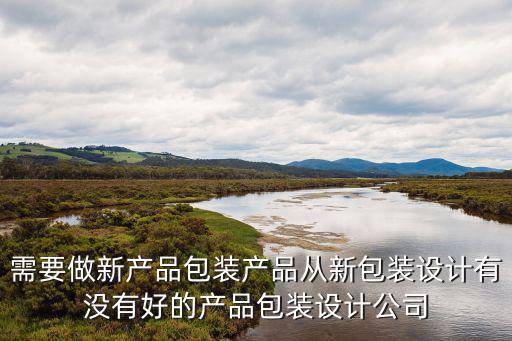 天津市碩豐包裝設計有限公司，有沒有做包裝設計的