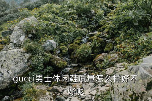 gucci男士休閑鞋質(zhì)量怎么樣好不好呢
