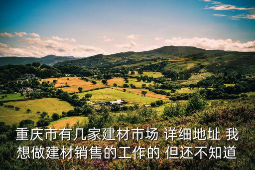重慶市有幾家建材市場 詳細(xì)地址 我想做建材銷售的工作的 但還不知道