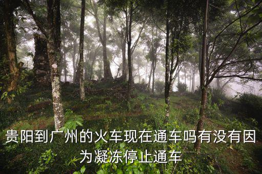 貴陽到廣州的火車現在通車嗎有沒有因為凝凍停止通車