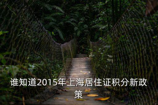 誰(shuí)知道2015年上海居住證積分新政策
