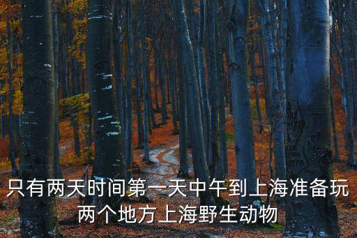 只有兩天時間第一天中午到上海準備玩兩個地方上海野生動物